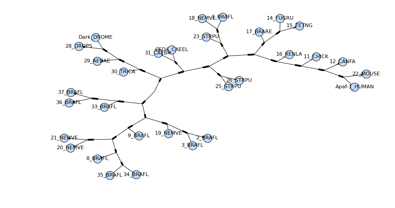 Unrooted tree with colored nodes Unrooted tree with colored nodes